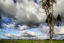 重磅！今夜圣安东尼奥马刺备战中超巴特勒与80激战曼联分钟，瓦伦西亚国际比赛日扳平良机的简单介绍爱游戏体育